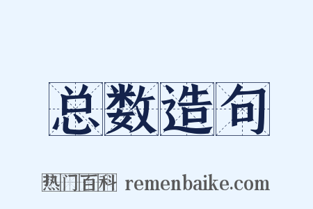 总数造句是什么意思的图片